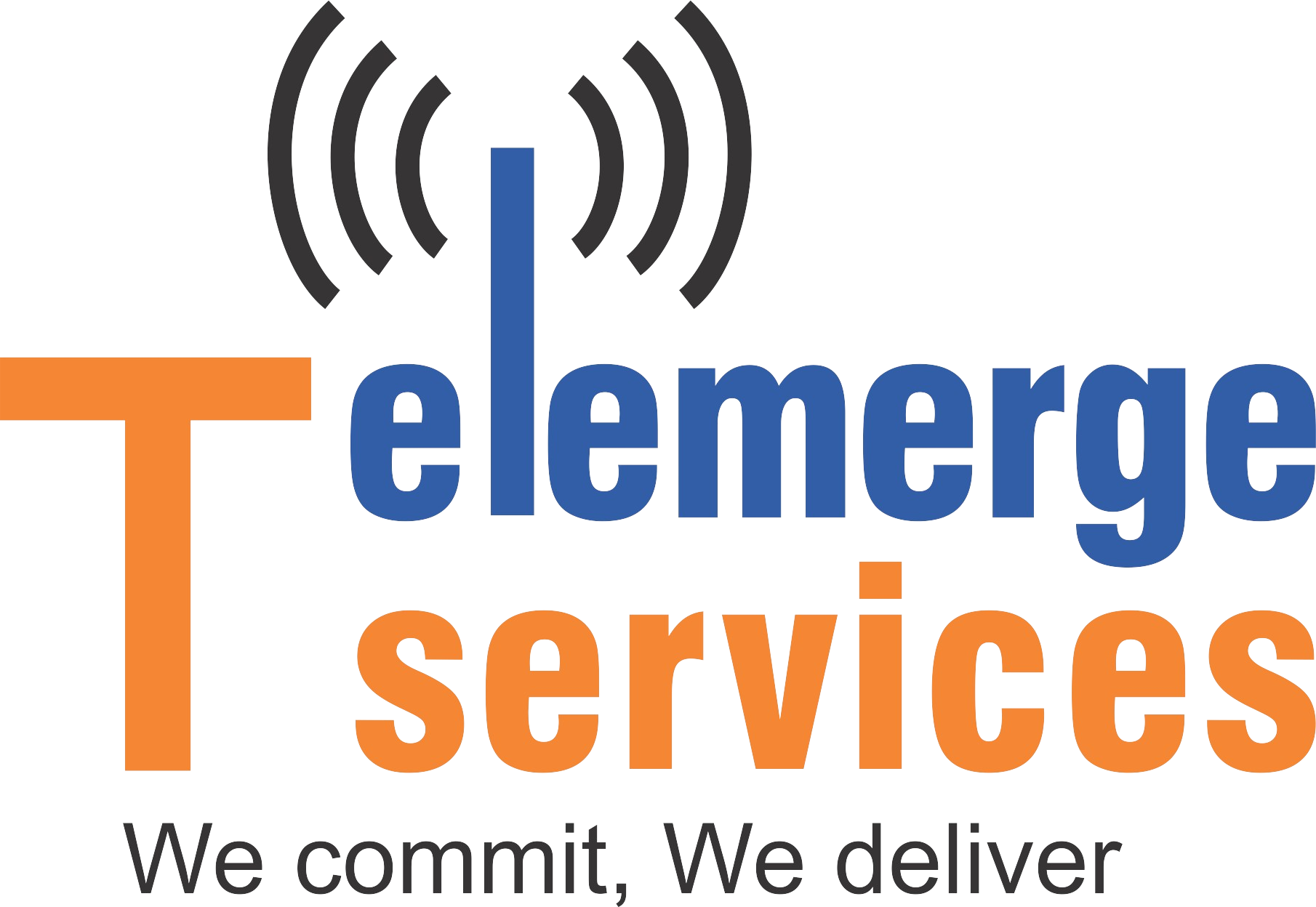 Telemerge Logo